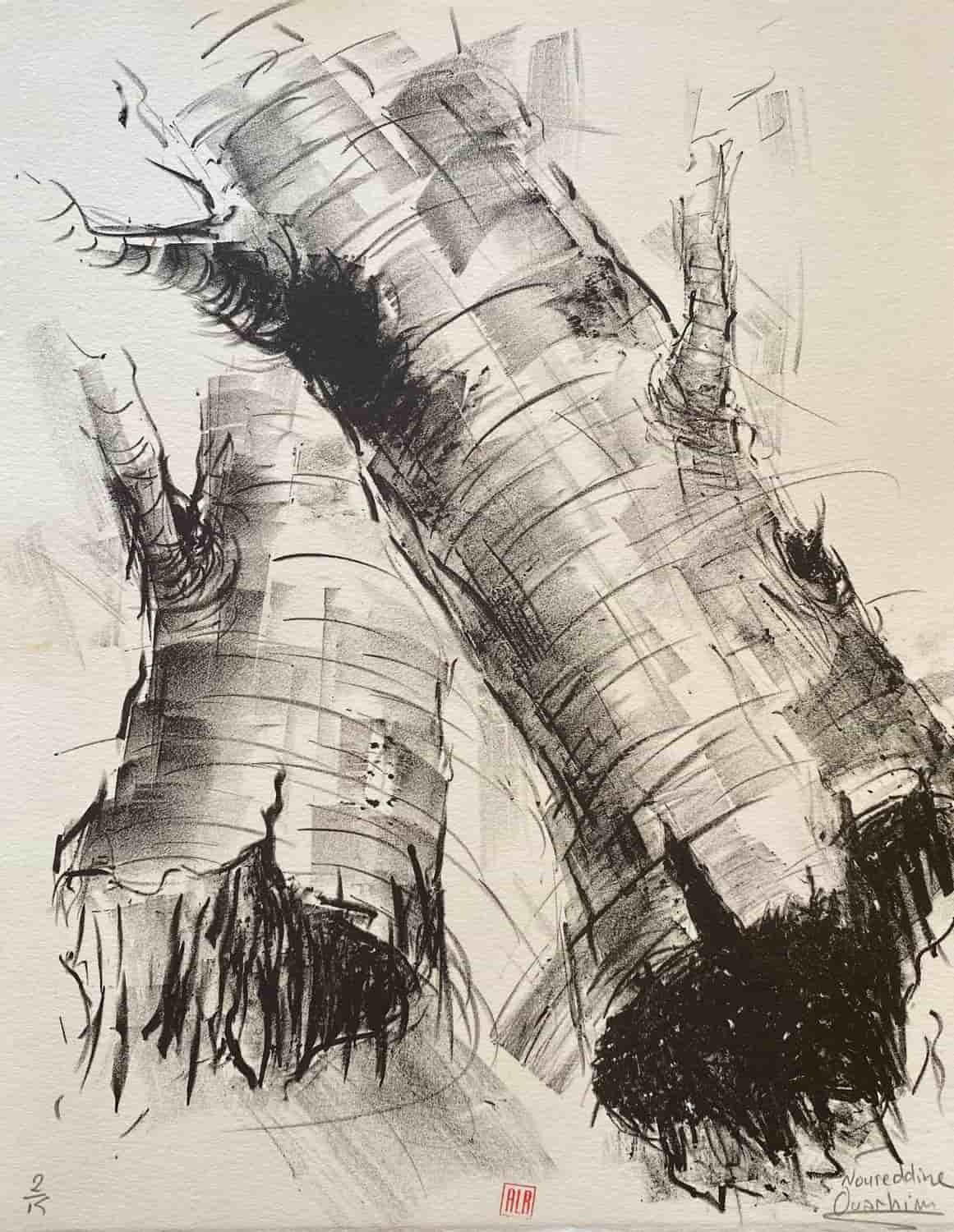 Œuvre de Noureddine Ouarhim