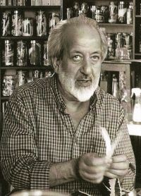 André Elbaz