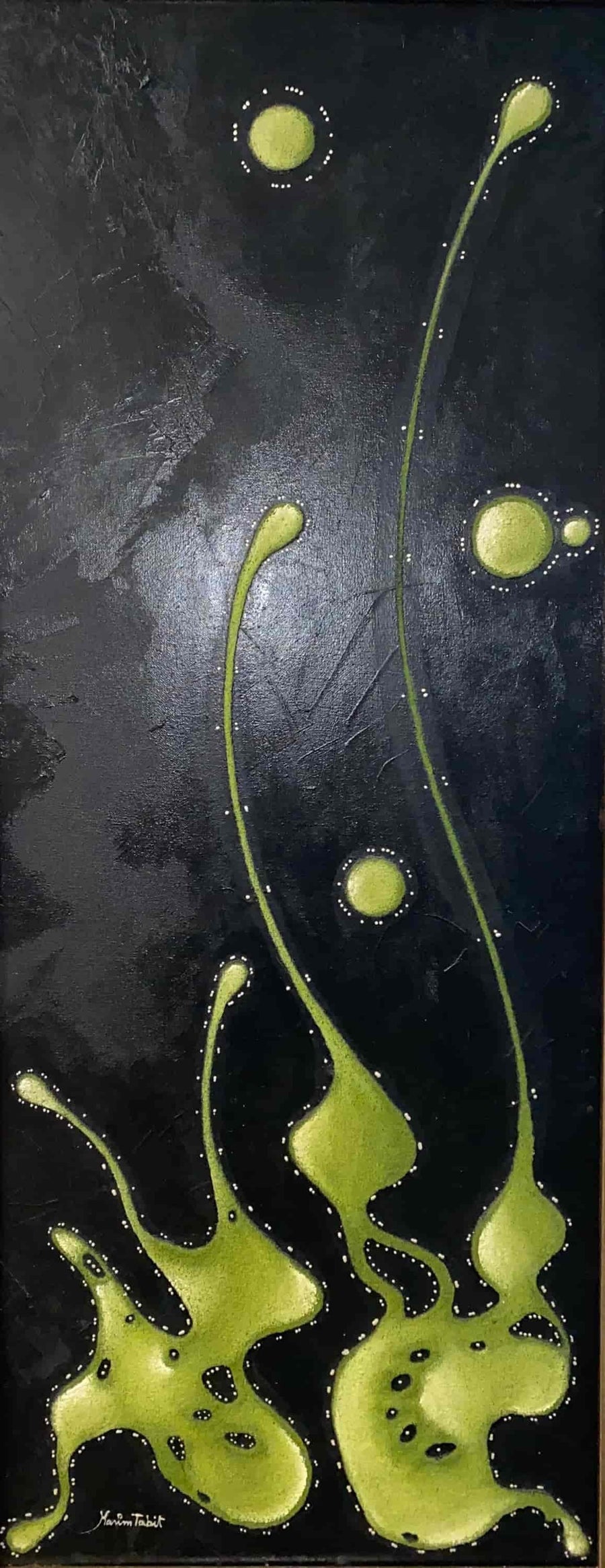 Œuvre de Karim Tabit